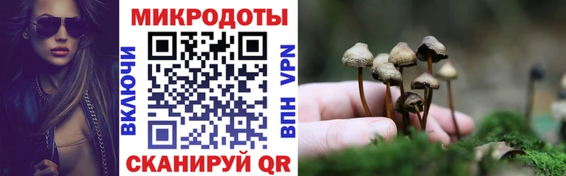 купить наркотики цена  Ртищево  Галлюциногенные грибы MAGIC MUSHROOMS 